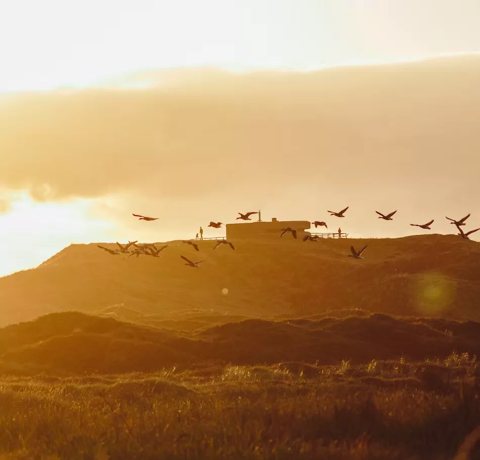 Frühlingsferien nach Texel